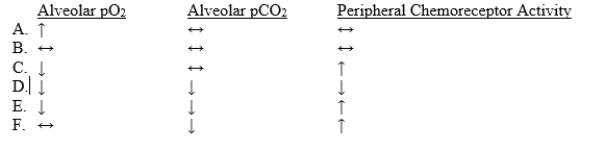 Which set of findings is representative of what occurs during scuba diving?  <div style=padding-top: 35px> 