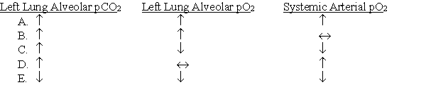 A child has been eating M&Ms (plain) and inhaled one down his airway, blocking his left bronchiole. Which of the following will describe the changes that occur?