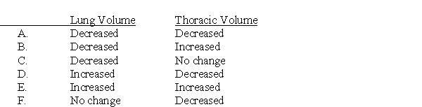 A 34-year-old man sustains a bullet wound to the chest that causes a pneumothorax. Which of the following best describe the changes in lung volume and thoracic volume in this man compared with normal?