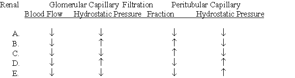 A 22-year-old female patient complaining of headaches presents to your office. An examination reveals that her blood pressure is 180/118 mm Hg, and laboratory tests give the following results:  ·	Plasma renin activity = 14.5 (normal = 1.0) ·	Plasma Na<sup>+</sup> = 142 mmol/L ·	Plasma K<sup>+</sup> = 2.9 mmol/L  Magnetic resonance imaging of the kidneys suggests that she has a renin-secreting tumor in her left kidney. Compared with normal, which one of the following sets of conditions would you expect?  