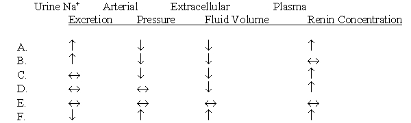 You begin treatment of a hypertensive patient with a large dose of a powerful diuretic (Lasix) that inhibits tubular reabsorption of NaCl by the loop of Henle. He returns to your office for a follow-up examination 2 weeks later. Compared with the patient's status before treatment, which one of the following sets of conditions would you expect to find?  