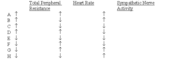 A healthy 30-year-old man stands up from a supine position. Which set of cardiovascular changes is most likely to have occurred?  