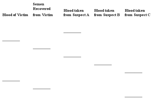 Use this DNA STR pattern of evidence from a rape investigation to answer the following question(s) .    -The evidence suggests which suspect raped the victim? A) Suspect A B) Suspect B C) Suspect C D) The evidence shows that none of these suspects is a match.