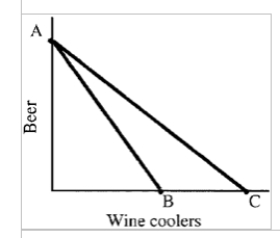 Figure 5-6   -Which of the following observations is not true of a budget line? A) It indicates what choices are available to the consumer. B) It is a curve of constant expenditure. C) Its slope reports the market terms on which the consumer can trade one good for another. D) It helps examine the consumer's preferences.