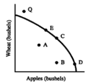Figure 3-4   -Which of the following would make point Q in Figure 3-4 attainable? A) Full-employment policies B) A technological advance strictly applicable to the production of apples C) An increase in land available for agricultural use D) A transfer of available resources from apples to wheat production