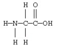 The following multifunctional compound is a(n)    A)  amino acid. B)  ester. C)  nucleic acid. D)  protein.