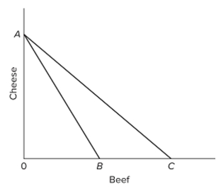   Refer to the given diagram, in which line AB is the U.S. production possibilities curve and AC is its trading possibilities curve. The international exchange ratio between beef and cheese (terms of Trade)  A)  is the absolute value of the slope of line AB. B)  is the absolute value of the slope of line AC. C)  could lie anywhere between the absolute value of the slopes of lines AB and AC. D)  cannot be determined on the basis of this information.