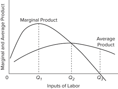   In the diagram, total product will be at a maximum at A) Q₃ units of labor. B) Q₂ units of labor. C) Q₁ units of labor. D) some point that cannot be determined with the provided information.