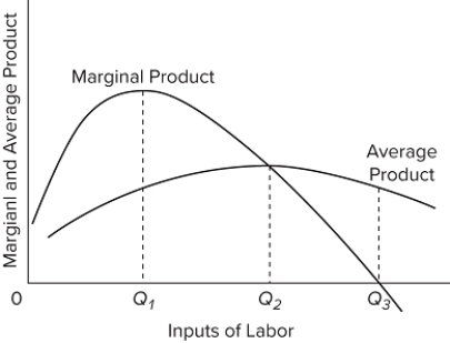   Refer to the diagram, where variable inputs of labor are being added to a constant amount of property resources. Average variable cost will be at a minimum when the firm is hiring A) Q₃ workers. B) Q₂ workers. C) Q₁ workers. D) more than Q₃ workers.