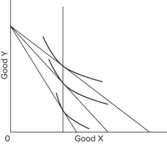   The individual demand curve that is implied by the budget constraints and indifference curves above will be A) perfectly elastic. B) relatively elastic. C) perfectly inelastic. D) relatively inelastic.
