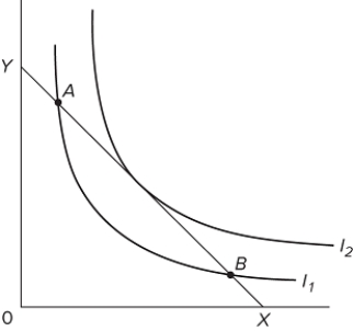   In the diagram, A) the consumer is indifferent between points A and B, but neither point maximizes his utility. B) the consumer is indifferent between points A and B, and either point will maximize his utility. C) any combination of X and Y entailing more of Y and less of X than shown at B would be preferred. D) any combination of X and Y entailing more of X and less of Y than shown at A would be preferred.