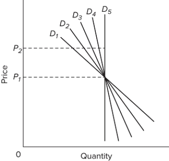   Refer to the graph above. Which demand curve is perfectly inelastic? A) D₂ B) D₃ C) D₄ D) D₅