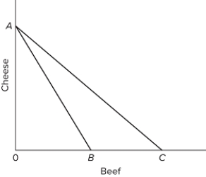   Refer to the given diagram, in which line AB is the U.S. production possibilities curve and AC is its trading possibilities curve. We can conclude that the United States A) has chosen to specialize in the production of cheese. B) has chosen to specialize in the production of beef. C) has decided to trade beef for cheese. D) is relatively more efficient than its trading partners in producing both cheese and beef.