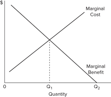   Refer to the diagram. Physicians likely would argue that health care should be provided to patients in A) some amount less than Q₁. B) amount Q₁. C) some amount between Q₁ and Q₂. D) amount Q₂.