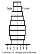 Figure 53-6 Use the figure to answer the corresponding question(s) .   -Figure 53-6 represents the age structure diagram of: A)  the transition stage. B)  the preindustrial state. C)  a moderately developed country. D)  a developing country. E)  a highly developed country.