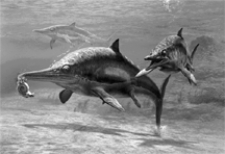 Figure 21-2 Use the figure to answer the corresponding question(s) .   -The animal in Figure 21-2 represents: A)  a mosasaur. B)  an ichthyosaur. C)  a pterosaur. D)  a thecodont. E)  a plesiosaur.