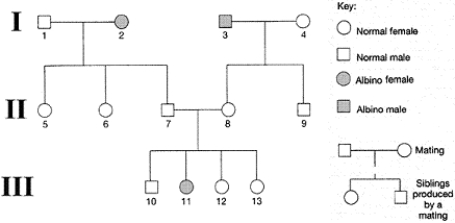 Figure 16-2 Use the figure to answer the corresponding question(s) .   -The inheritance pattern demonstrated by the pedigree in Figure 16-2 is: A)  autosomal recessive. B)  autosomal dominant. C)  X-linked recessive. D)  X-linked dominant. E)  unknown from these data.