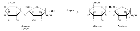 Figure 3-1 Use the figure below to answer the corresponding question(s) .   -The process illustrated in Figure 3-1 is called: A)  condensation. B)  protein synthesis. C)  hydrolysis. D)  dehydration synthesis. E)  denaturation.