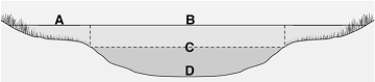   The following questions refer to the figure above illustrating the stratifications of a lake in a temperate region. -The limnetic zone is indicated by A)  A. B)  B. C)  C. D)  D. E)  none of these.