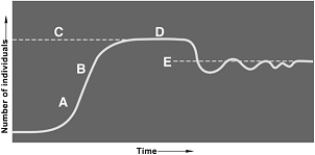   The following questions refer to the figure above illustrating logistic growth. -The population is in exponential growth at A)  A. B)  B. C)  C. D)  D. E)  E.