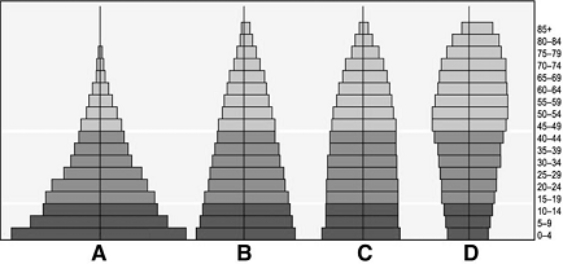   The following questions refer to the age structure diagrams above. -The age structure diagram for countries with a 2.1 total fertility rate is indicated by A)  A. B)  B. C)  C. D)  D. E)  none of these.