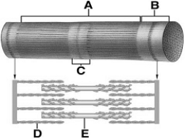   -is a region where there are only myosin molecules.