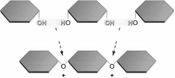   -Which of the following does NOT describe some aspect of polysaccharides? A)  energy storage B)  straight or branched chain C)  glucose subunits D)  contain only carbon, hydrogen, and oxygen atoms E)  produced by condensation reactions