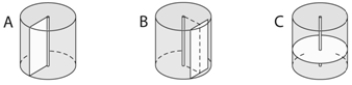   Use the figure above to answer the following questions. -The letter  C  in the above figure represents A)  transverse. B)  radial. C)  tangential. D)  elliptical. E)  obtuse.