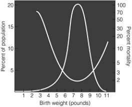   -This graph shows both human birth weight and newborn infant mortality.The most common birth weight is between seven and eight pounds.Human birth weight seems to be an example of A)  directional selection. B)  stabilizing selection. C)  sexual selection. D)  disruptive selection. E)  artificial selection.