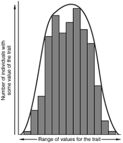   -A graph of phenotypic variation similar to the illustration above strongly suggests A)  incomplete dominance. B)  codominance. C)  epistasis. D)  polygenic inheritance. E)  environmental effects on phenotype.