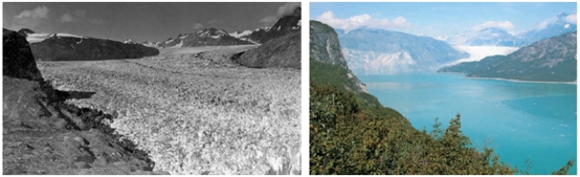 The photos of the Muir Glacier taken in 1941 (left)  and 2004 (right)  demonstrate the consequences of____.   A)  deforestation B)  biological magnification C)  acid rain D)  ozone destruction E)  global climate change 