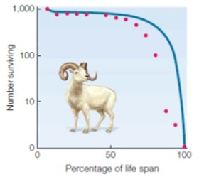 Matching Match the following figures with the most appropriate statement. a.   C.   D.   B.   E.   ​ ​ a.A b.B c.C d.D e.E -​survivorship curve; mortality is highest in the oldest individuals