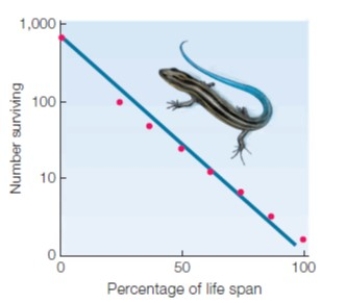 Matching Match the following figures with the most appropriate statement. a.   C.   D.   B.   E.   ​ ​ a.A b.B c.C d.D e.E -​survivorship curve; mortality is highest in the oldest individuals