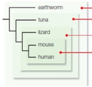 A cladogram can be viewed as  sets within sets  of derived traits. Which features distinguish the clade containing mice and humans from the other clades in this cladogram?   A)  multicellular with legs B)  multicellular with hair C)  multicellular with a backbone D)  multicellular E)  multicellular with a backbone, legs, and hair 