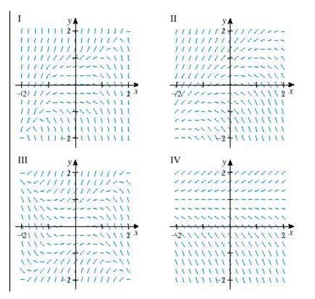 Select a direction field for the differential equation   from a set of direction fields labeled I-IV.    