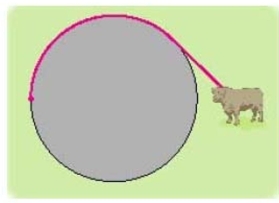 A cow is tied to a silo with radius by a rope just long enough to reach the opposite side of the silo.Find the area available for grazing by the cow.Round theAnswer to the nearest hundredth.