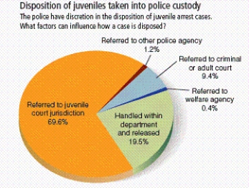 Consider the information presented in this pie chart:    Why do you think such a large percentage of juveniles who come to police attention are formally referred to court? Wouldn't you expect that most would be handled within the department and released? Why or why not?