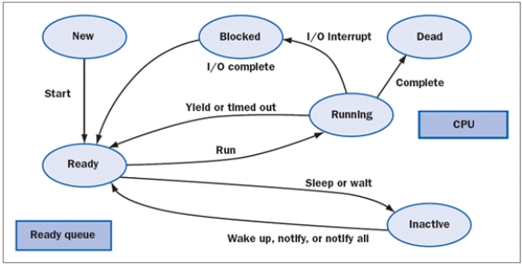 <strong>FIGURE 15-1 Figure 15-1 above shows stages in the life of a(n) ____.</strong> A) parameter B) thread C) process D) socket