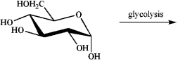  Draw the structure of the ultimate organic glycolysis product of  \alpha -glucose.   