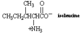  What is the structure of the  \alpha -keto acid formed by transamination of the amino acid isoleucine?   