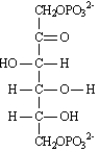 Instructions:  Consider the reaction below to answer the following questions:   -Refer to instructions. Draw arrows on the structure below showing electron flow in this reaction.  