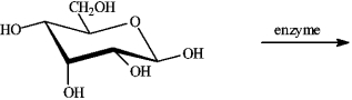 If the following compound undergoes oxidation in the presence of the appropriate enzyme, draw the structure of the likely product.  