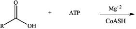 Draw the major products of the following biochemical reaction (where R = a fatty acid chain).  