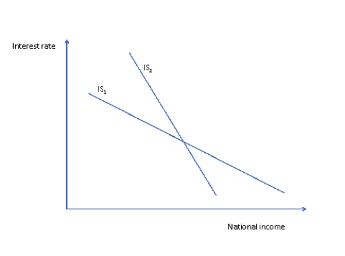 Refer to Figure 3 below.Which statement about the two possible IS curves in Figure 3 is true? Figure 3   A) The economy is in equilibrium where IS₁ and IS<sub>2</sub> intersect. B) IS₁ represents an economy in which consumers' expenditure and investment spending are more sensitive to interest rate changes than they are in the economy represented by IS<sub>2</sub>. C) IS₁ represents an economy in which consumers' expenditure and investment spending are less sensitive to interest rate changes than they are in the economy represented by IS<sub>2</sub>. D) None of the above is true.
