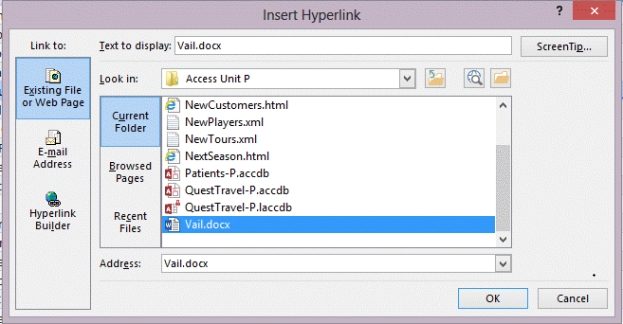   -The Edit Hyperlink dialog box in the figure indicates that the user is in the process of creating a link to a(n)  _____. A)  Word document B)  Web page C)  E-mail address D)  report object