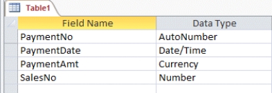   -In the accompanying figure, the data type for the PaymentAmt field is ____________________.