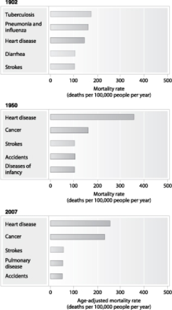   -What is used to measure and assess illness over a span of time? A) Mortality rates B) Migration patterns C) Infection patterns D) Morbidity rates