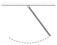A uniform rod (mass m = 1.0 kg and length L = 2.0 m)  pivoted at one end oscillates in a vertical plane as shown below. The period of oscillation (in s)  is approximately:   A) 4.0. B) 1.6. C) 3.2. D) 2.3. E) 2.0.