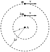 Two objects of mass m1 = 2m and m<sup>2</sup> = m move around a rotation axis A in parallel circles of radii r1 = r and r2 = 2r with equal tangential speeds. As they rotate, forces of equal magnitude are applied opposite to their velocities to stop them. Which statement is correct?   A) m<sup>2</sup> will stop first because it has the larger initial angular velocity. B) m1 will stop first because it has the smaller radius. C) m<sup>2</sup> will stop first because the torque on it is greater. D) m1 will stop first because it has the smaller moment of inertia. E) Both objects will stop at the same time because the angular accelerations are equal.