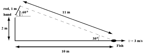 <strong>A 0.5 kg fish, hooked as shown below, starts to swim away at a speed of 3 m/s. The angular momentum of the fish relative to the hand holding the fishing rod is about: </strong> A) 3 \frac{\mathrm{~kg} \cdot \mathrm{~m}^{2}}{\mathrm{~s}} . B) 6 \frac{\mathrm{~kg} \cdot \mathrm{~m}^{2}}{\mathrm{~s}} . C) 17 \frac{\mathrm{~kg} \cdot \mathrm{~m}^{2}}{\mathrm{~s}} . D) 30 \frac{\mathrm{~kg} \cdot \mathrm{~m}^{2}}{\mathrm{~s}} . E) 60 \frac{\mathrm{~kg} \cdot \mathrm{~m}^{2}}{\mathrm{~s}} .